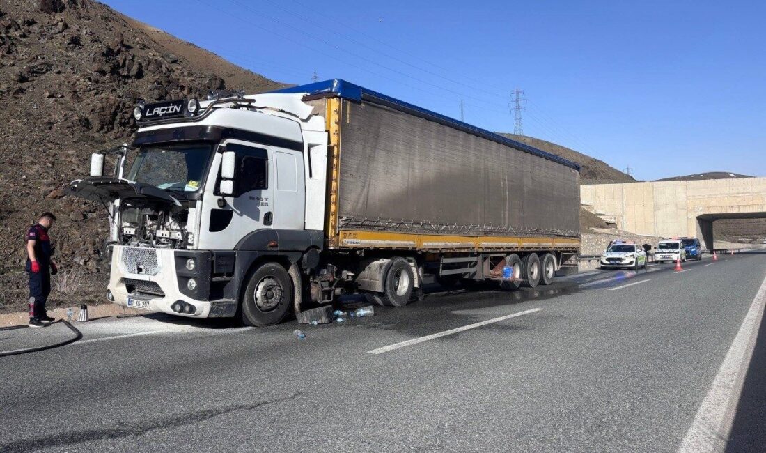 Erzincan-Sivas karayolunun Koçyatağı mevkisinde seyir halinde olan bir tırda çıkan
