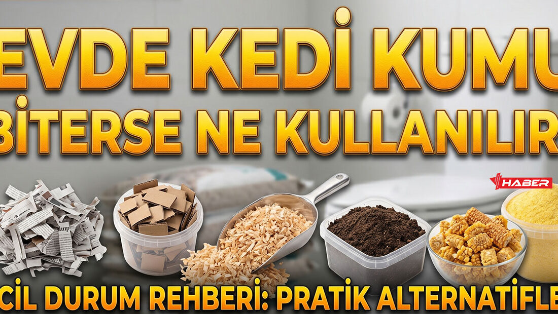 En kısa sürede gerçek kedi kumu temin edene kadar, evdeki