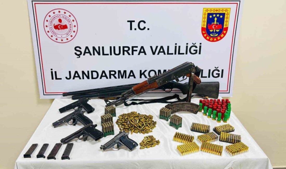 Şanlıurfa’da Jandarma tarafından düzenlenen bir operasyonda silah, fişek ve mermi