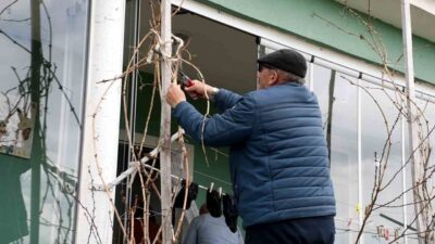 Yozgat’ta geçen yıl meydana gelen don olayı üzüm bağlarını da