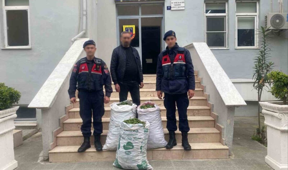 Germencik ilçesinde bir incir bahçesinden hırsızlık yaparken suçüstü yakalanan şüphelinin