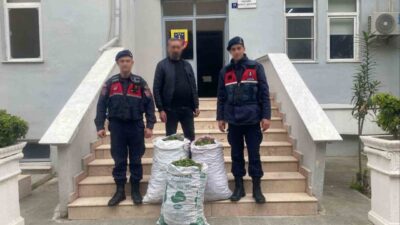 Germencik ilçesinde bir incir bahçesinden hırsızlık yaparken suçüstü yakalanan şüphelinin