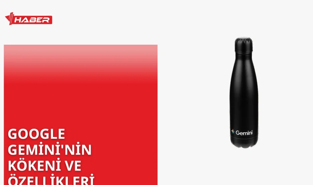 Google Gemini, ABD merkezli bir yapay zeka dil modeli. Google'ın
