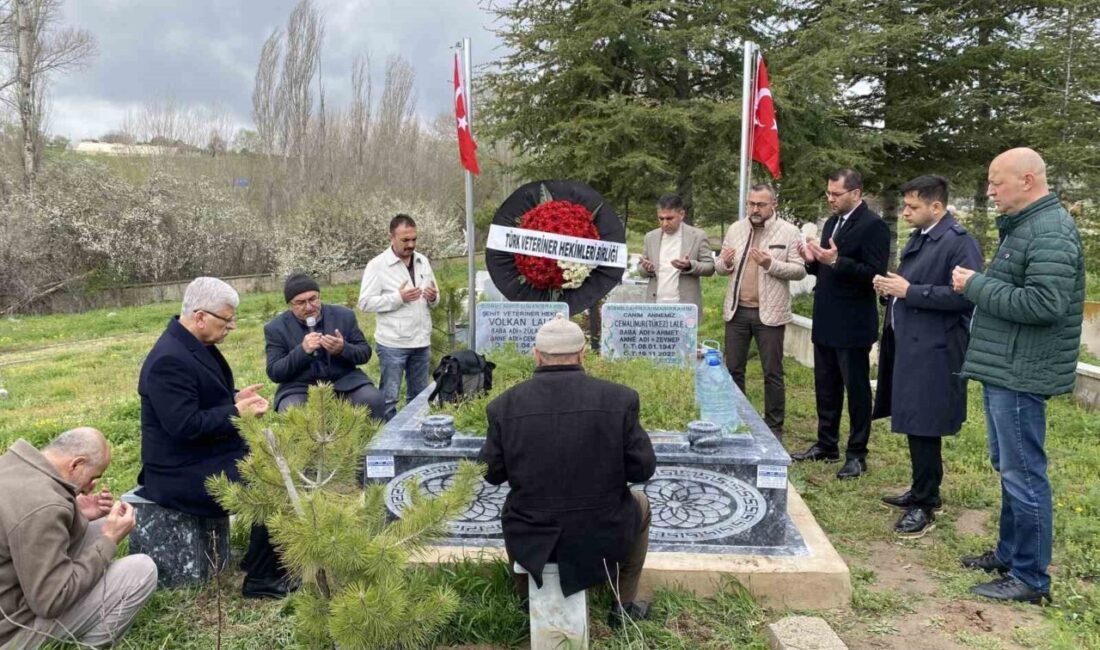 Yozgat’ın Sorgun ilçesine bağlı Mehmetbeyli köyünde veteriner hekim Volkan Lale,