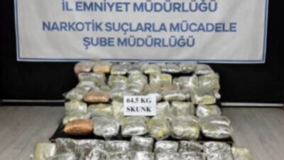 HAKKARİ’de polis ekipleri tarafından gerçekleştirilen operasyonda 64,5 kilogram skunk ele