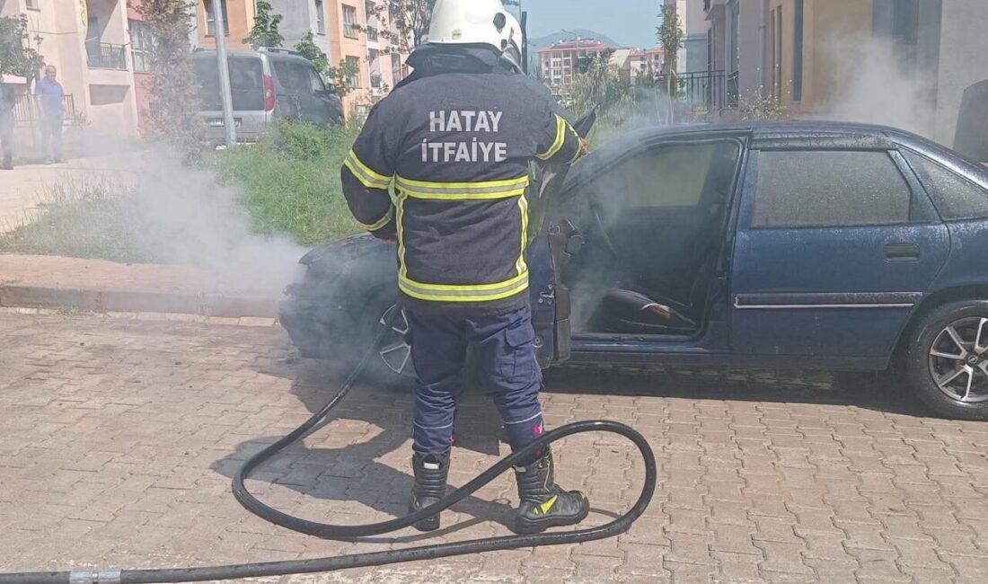 Hatay’ın Hassa ilçesinde, Aşağıkarafakılı Mahallesi’nde park halindeki bir otomobilin motor