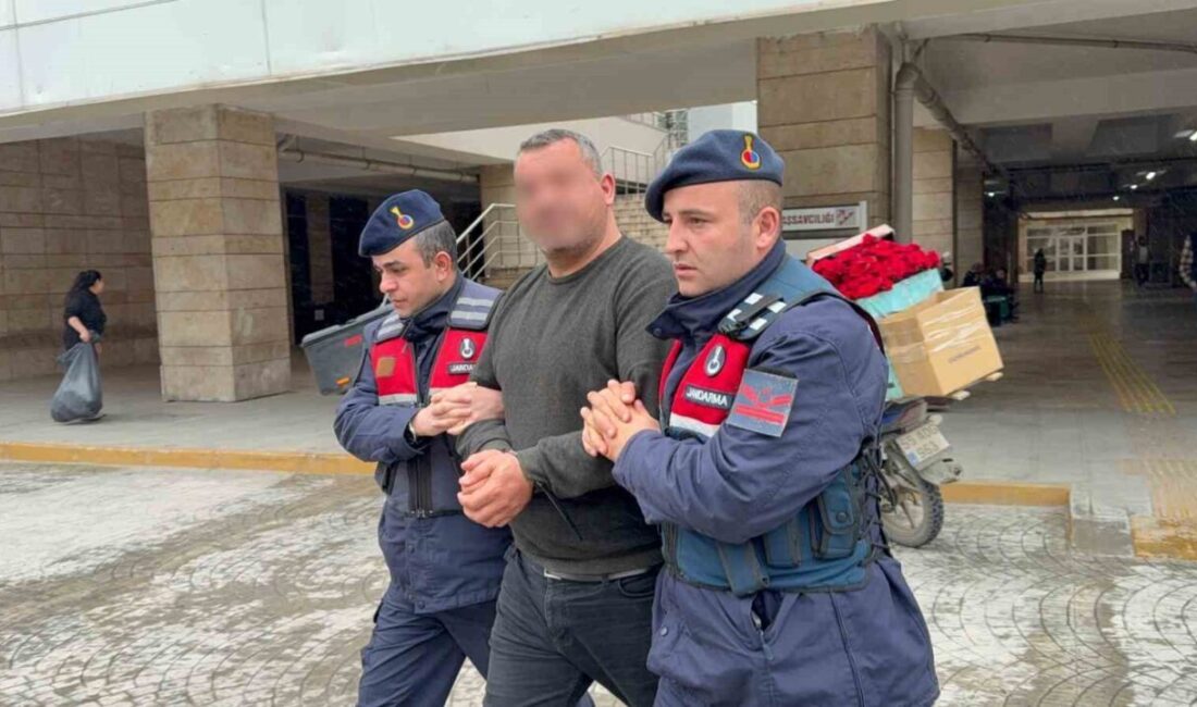 Samsun’da büyükbaş hayvan alım satımıyla ilgili yapılan dolandırıcılık olayıyla ilgili