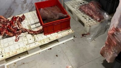 Sakarya’da gerçekleştirilen gıda denetimlerinde hijyen kurallarını ihlal ettiği belirlenen bir