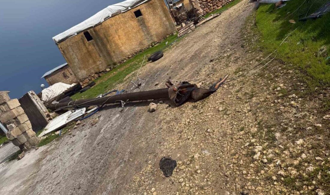 Hilvan ilçesine bağlı Uzuncuk Mahallesi’nde meydana gelen şiddetli fırtına, hayatı