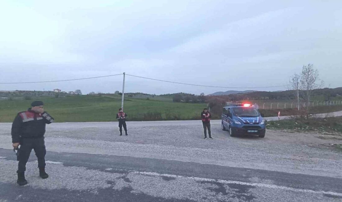 Hisarcık ilçesinde, Kurban Bayramı öncesinde kontrolsüz hayvan hareketlerini engellemek için