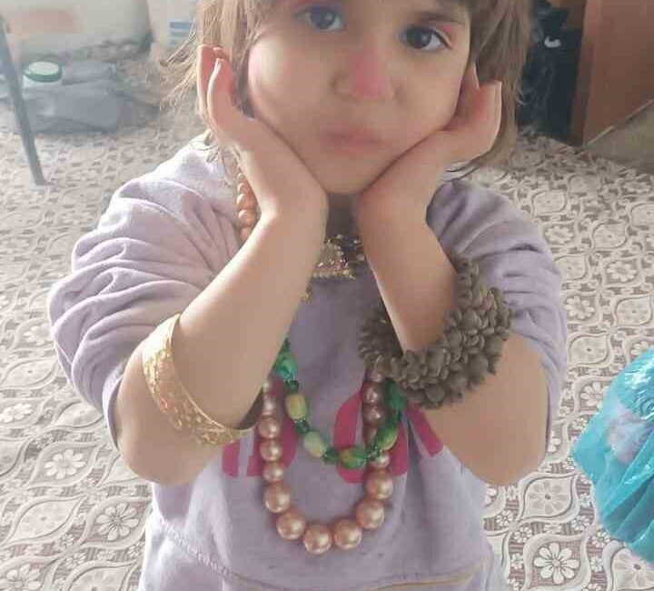 Sağırkaya Köyü’nde kaybolan 4 yaşındaki kız çocuğu için arama operasyonu