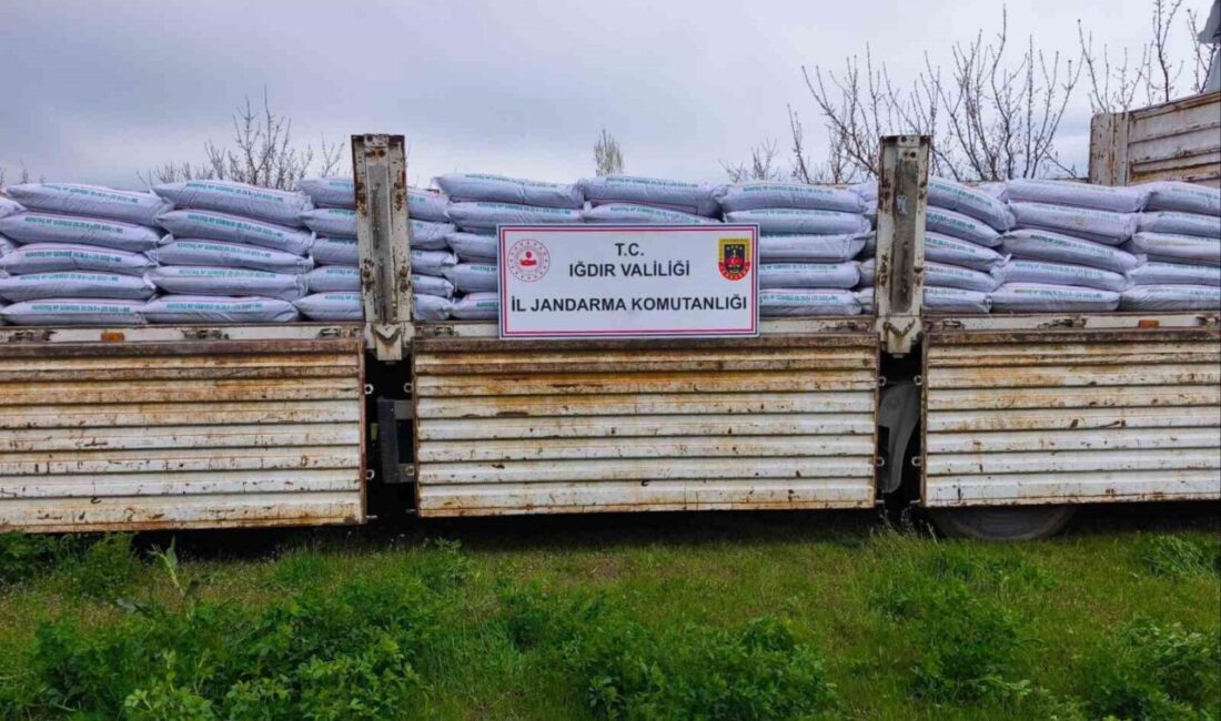 Iğdır’ın Melekli beldesinde jandarma tarafından gerçekleştirilen operasyonda, piyasa değeri yaklaşık