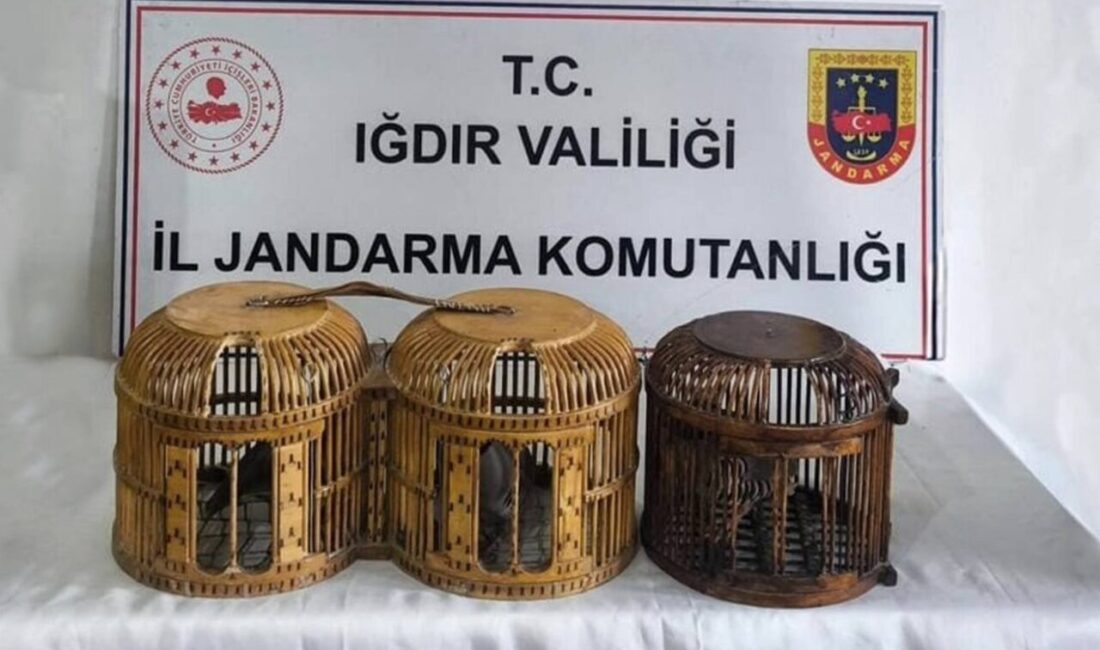 Iğdır’ın yaban hayatını koruma çalışmaları kapsamında gerçekleşen bir operasyonda, Iğdır