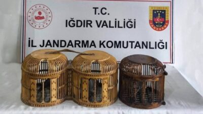 Iğdır’ın yaban hayatını koruma çalışmaları kapsamında gerçekleşen bir operasyonda, Iğdır