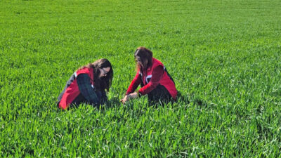 Yerköy İlçe Tarım ve Orman Müdürlüğü ekipleri, ilçe genelinde saha