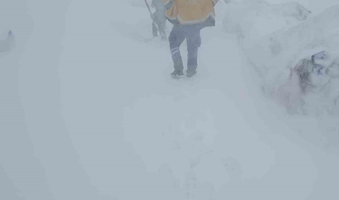 Şırnak’ta ilkbahar aylarında görülen kar yağışı, olumsuz etkiler yarattı ve