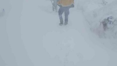 Şırnak’ta ilkbahar aylarında görülen kar yağışı, olumsuz etkiler yarattı ve