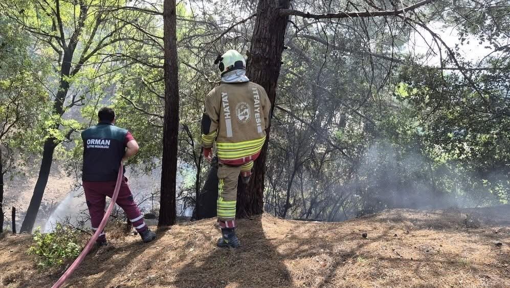 İskenderun ilçesindeki bir yaylada çıkan orman yangını hızla kontrol altına