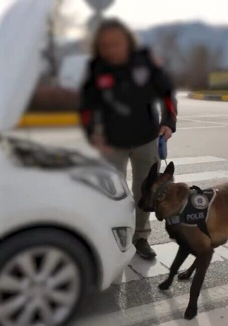 Isparta’da bir hafta boyunca yapılan narkotik operasyonlarında büyük miktarda uyuşturucu