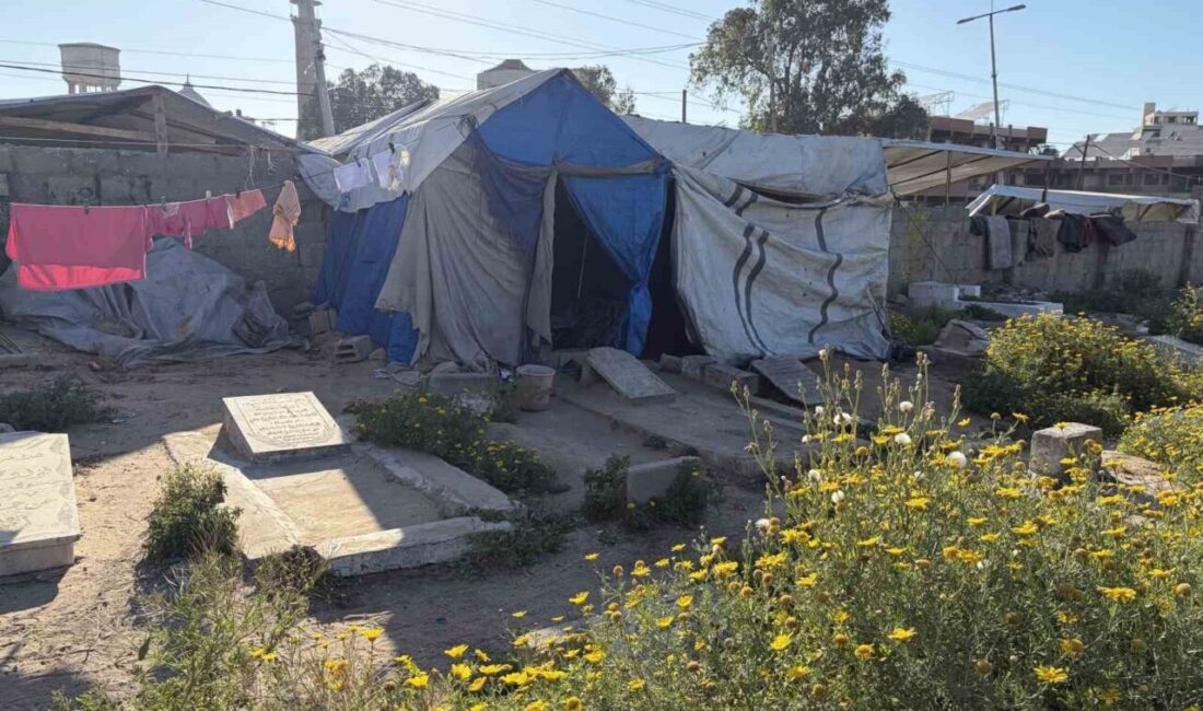 Gazzeli Halid ez-Zaanin, İsrail saldırıları nedeniyle evinden edilmiş ve barınacak