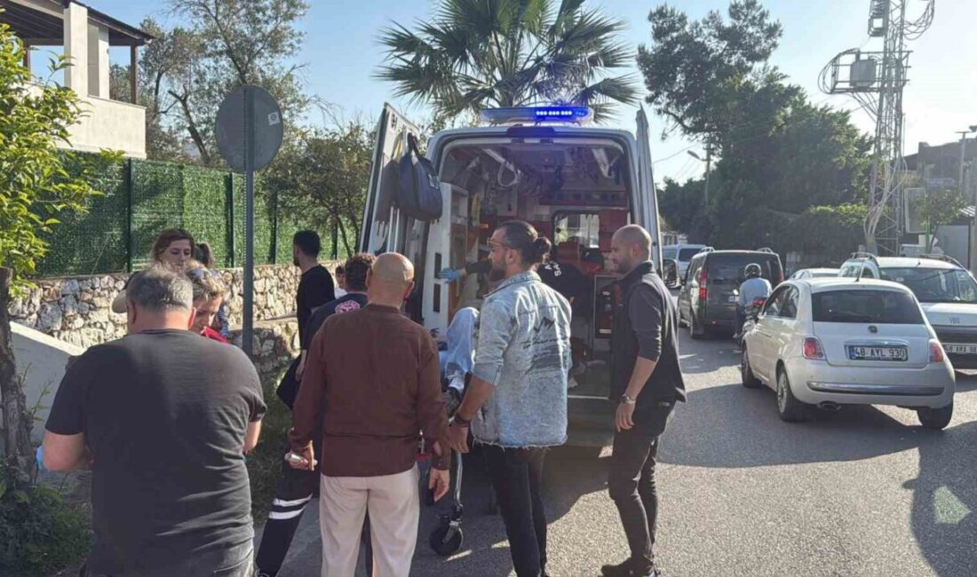 Bodrum ilçesinde, işten dönen bir kadın evinin bahçesinde bıçaklı saldırıya