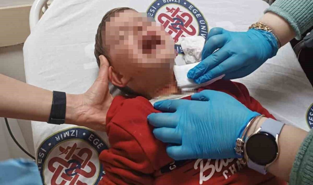 İddialara göre, İzmir’in Karabağlar ilçesinde bir parkta oyun oynayan 2