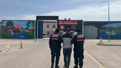 Afyonkarahisar’da son bir haçta jandarma ekipleri tarafından gerçekleştirilen denetimlerde çeşitli