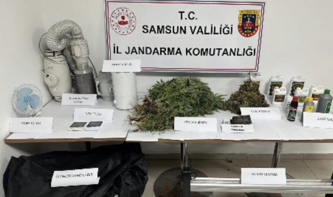 Samsun’da Jandarma ekipleri tarafından gerçekleştirilen operasyonda, evinde kenevir bitkisi yetiştirdiği