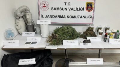 Samsun’da Jandarma ekipleri tarafından gerçekleştirilen operasyonda, evinde kenevir bitkisi yetiştirdiği