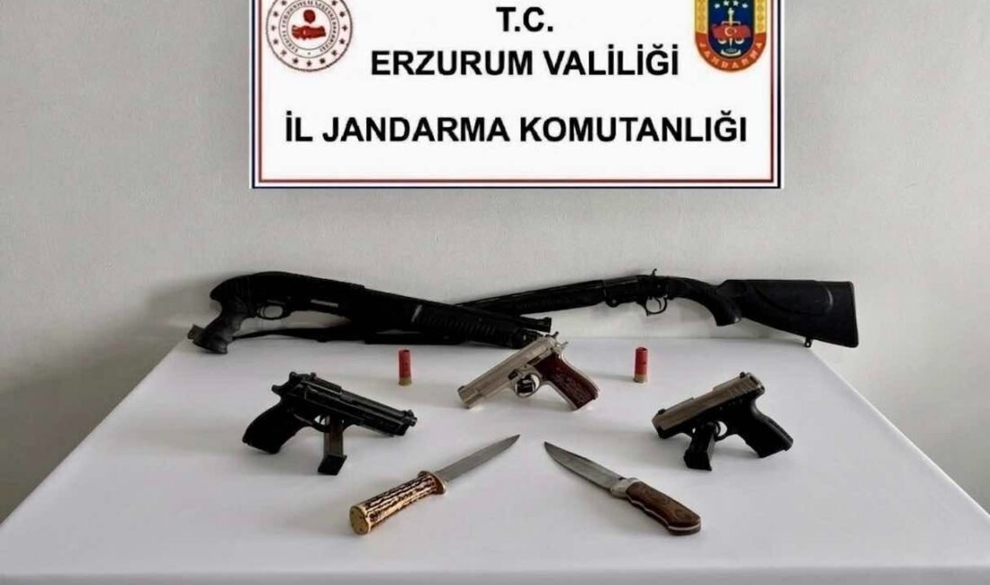 Erzurum’un Tekman ilçesinde gerçekleşen bir operasyonda jandarma ekipleri, 2 kişinin