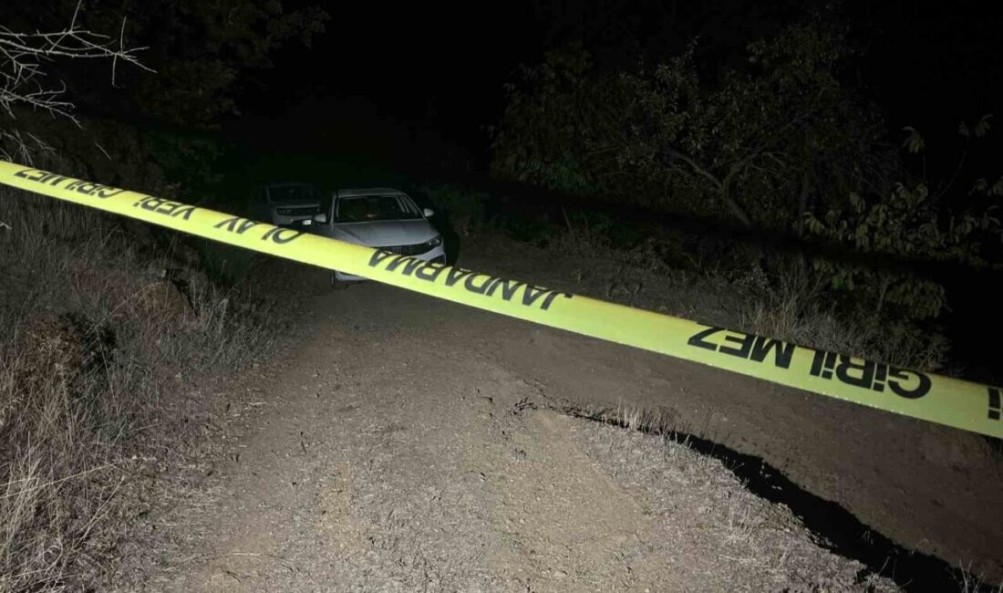 Bursa’da meydana gelen ve üç kişinin ölümü ile sonuçlanan gasp