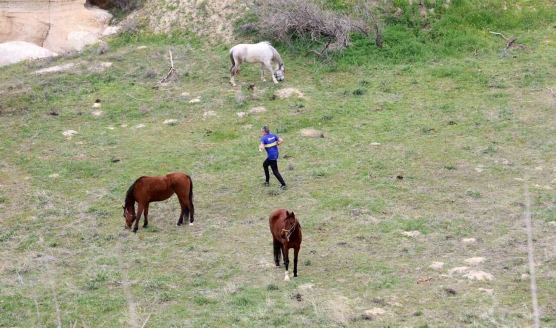 Bu yıl Nevşehir’de düzenlenen Uluslararası Kapadokya Oryantiring Haftası Yarışmaları, yerli