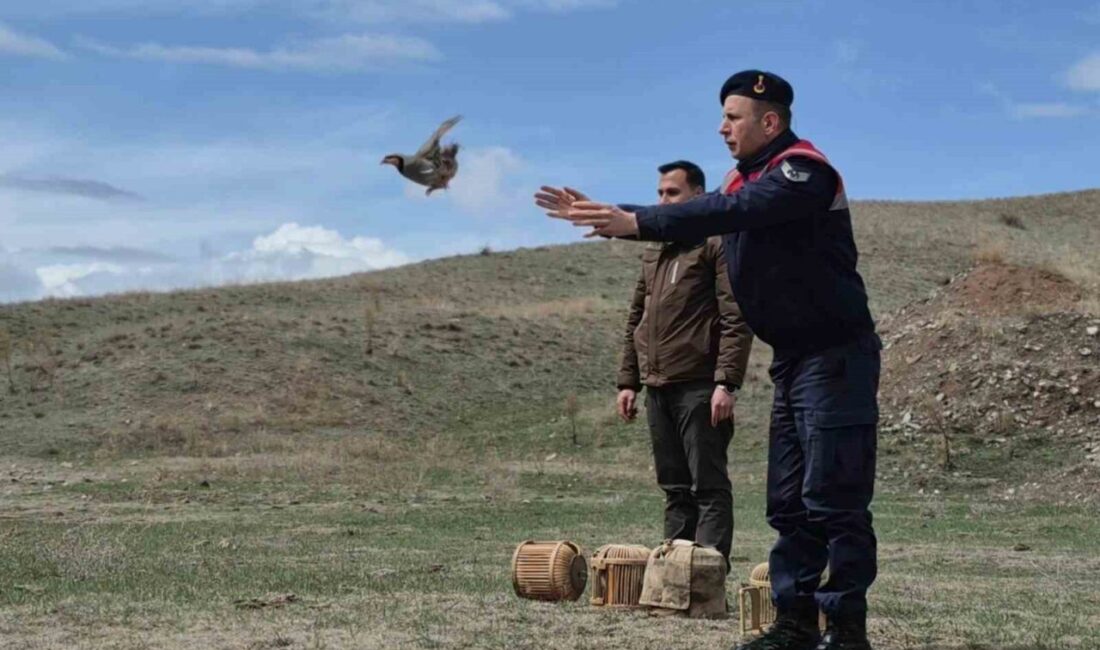 Kars’ta kaçak avcılara yönelik operasyon düzenlendi. Kars İl Jandarma Komutanlığı
