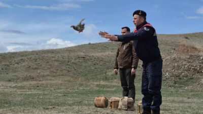 Kars’ta kaçak avcılara yönelik operasyon düzenlendi. Kars İl Jandarma Komutanlığı