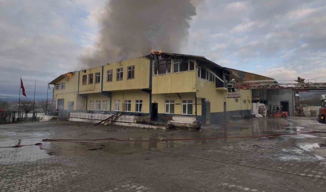Tosya İlçesi’nde Çıkan Fabrika Yangını Kontrol Altına Alındı Kastamonu’nun Tosya