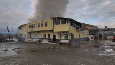 Tosya İlçesi’nde Çıkan Fabrika Yangını Kontrol Altına Alındı Kastamonu’nun Tosya