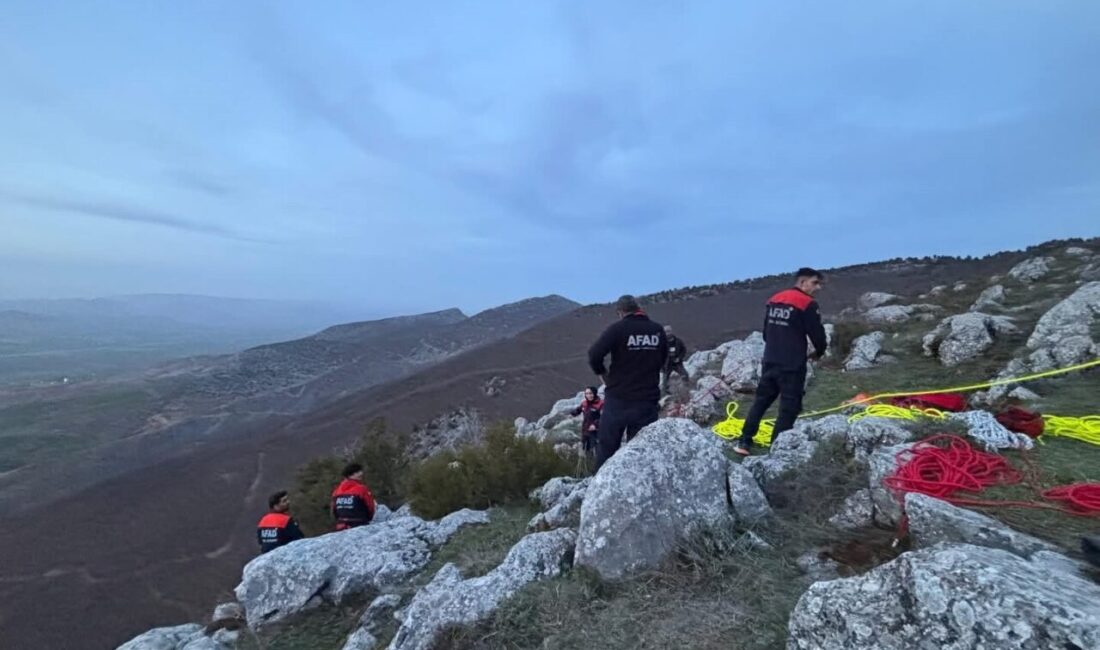 Dereçiftlik Köyü’nde, sarp kayalıklarda mahsur kalan bir keçi, Aydıncık ilçesinde