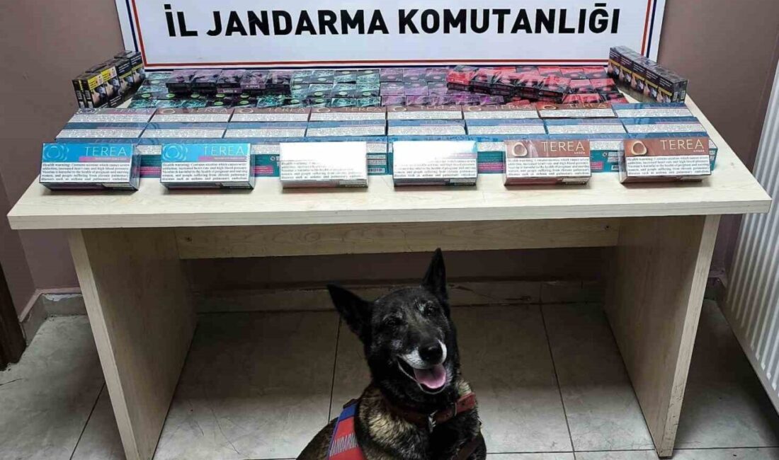 Kayseri İl Jandarma Komutanlığı ekiplerinin yaptığı operasyonda, 158 paket bandrolsüz