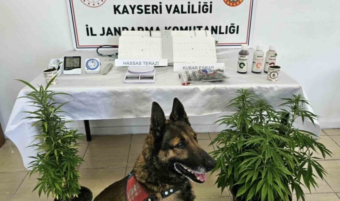 Kayseri İl Jandarma Komutanlığı ekipleri tarafından gerçekleştirilen operasyonlarda çeşitli uyuşturucu