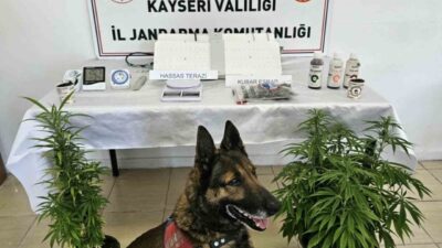 Kayseri İl Jandarma Komutanlığı ekipleri tarafından gerçekleştirilen operasyonlarda çeşitli uyuşturucu