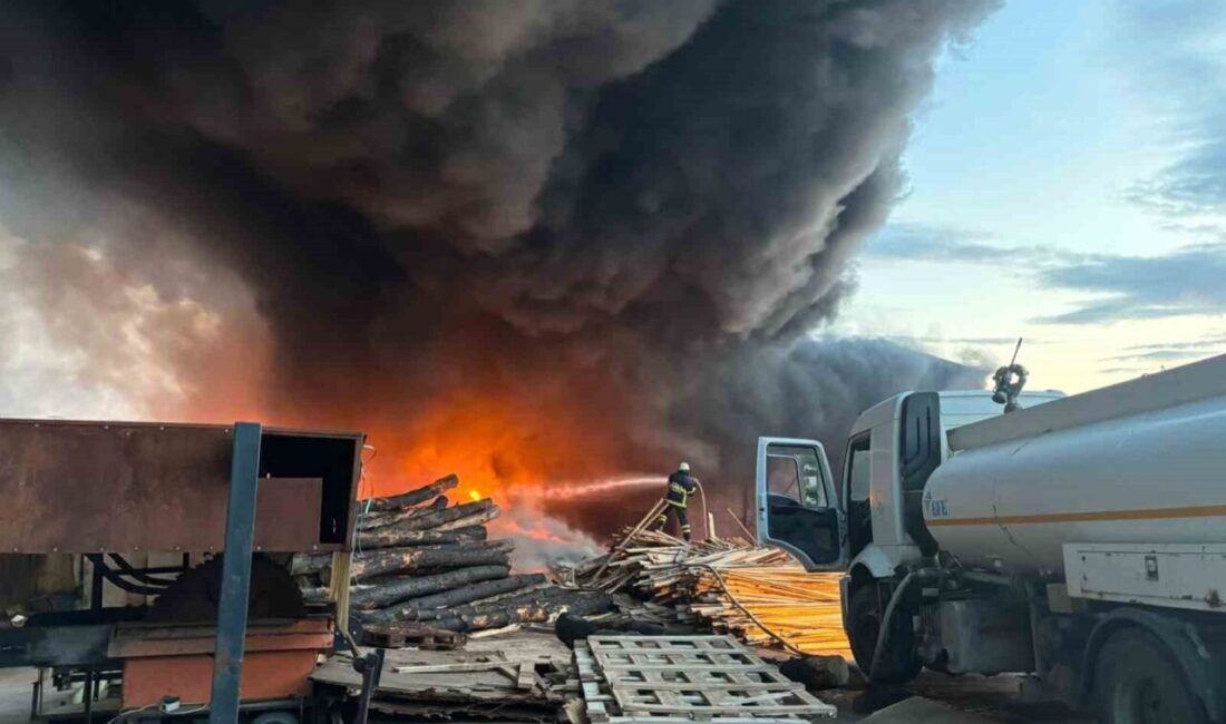 Paşaköy’de bulunan bir kereste fabrikasındaki yağ tankında çıkan yangın, ekiplerin
