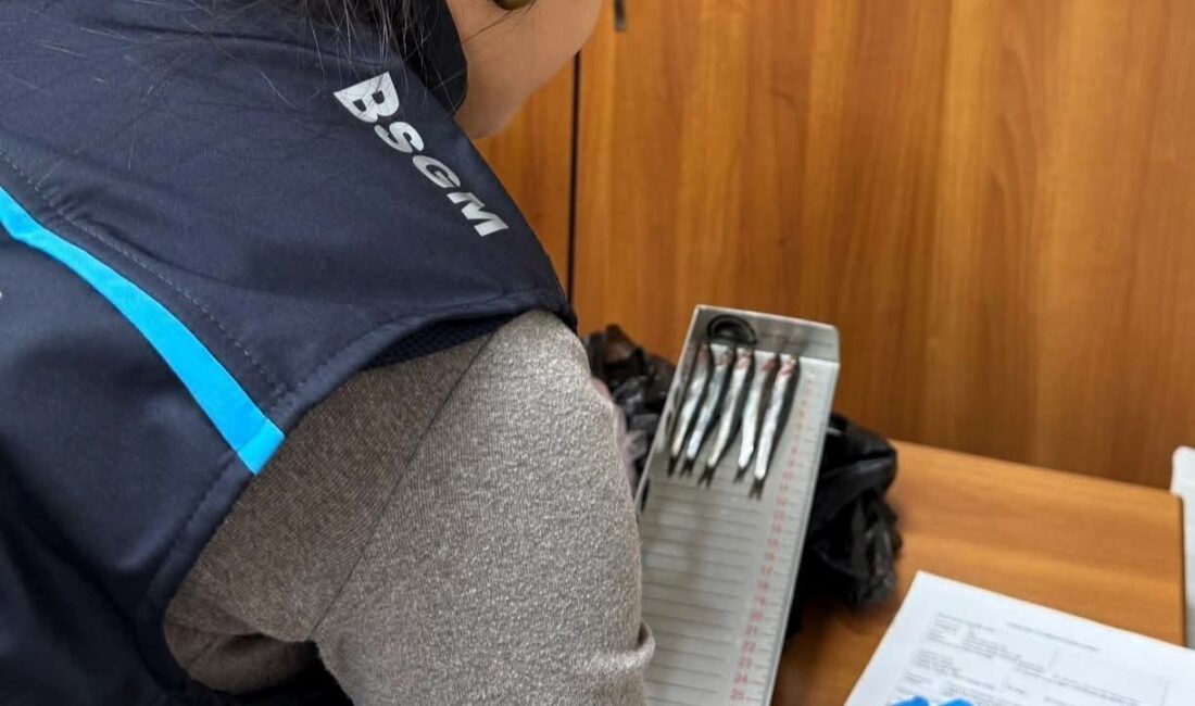 Demirköy ilçesinde av sezonunun sonuna yaklaşılırken, ekipler sürdürülebilir balıkçılığı desteklemek