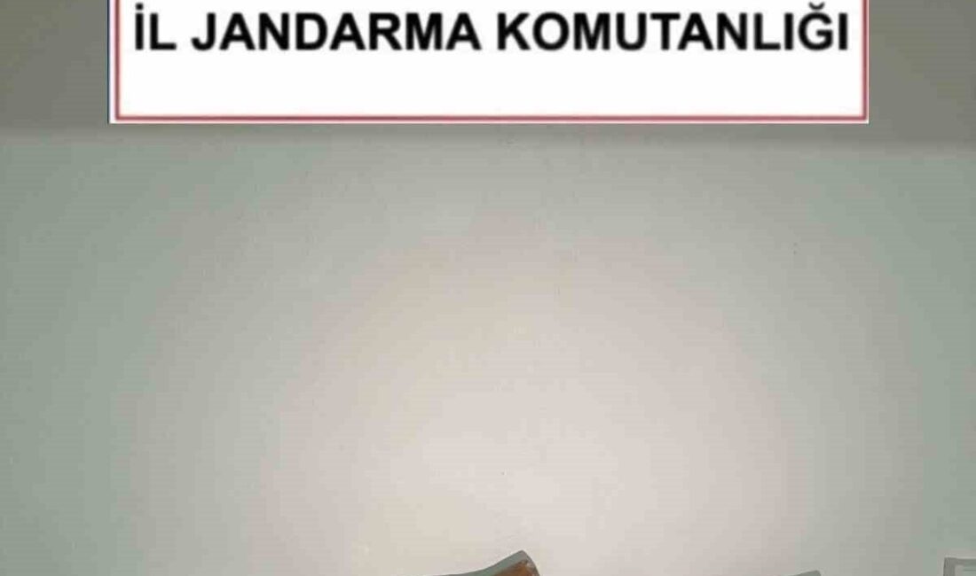 Kırşehir’de jandarma ekipleri, tarihi ve kültürel değerlerin korunması amacıyla yürütülen