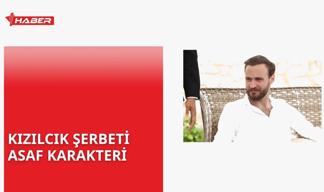 Kızılcık Şerbeti dizisinde Asaf karakteri Başak'ın kardeşi olarak 136. bölümde