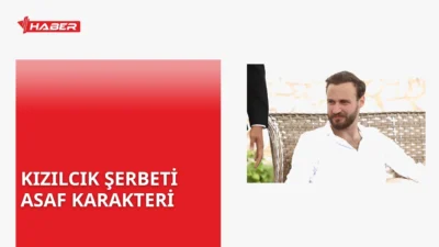 Kızılcık Şerbeti dizisinde Asaf karakteri Başak'ın kardeşi olarak 136. bölümde