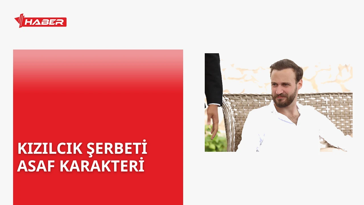 Kızılcık Şerbeti dizisinde Asaf karakteri Başak'ın kardeşi olarak 136. bölümde