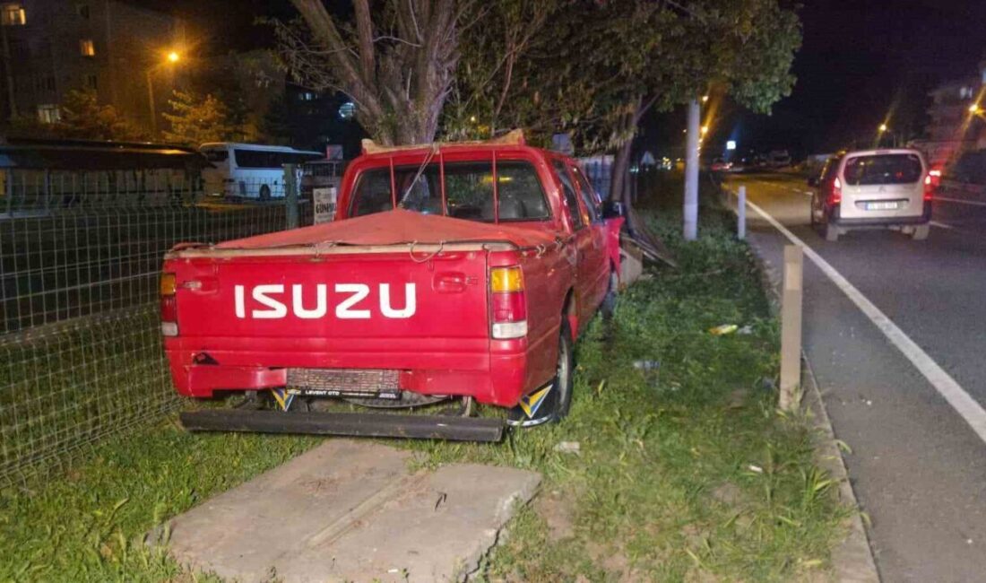 Bursa’da meydana gelen trafik kazasında bir kamyonet kontrolden çıkarak refüjdeki