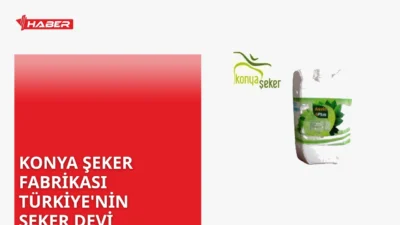 Konya Şeker kimin sahibi İşte detaylar Konya Şeker'in kooperatif yapısı