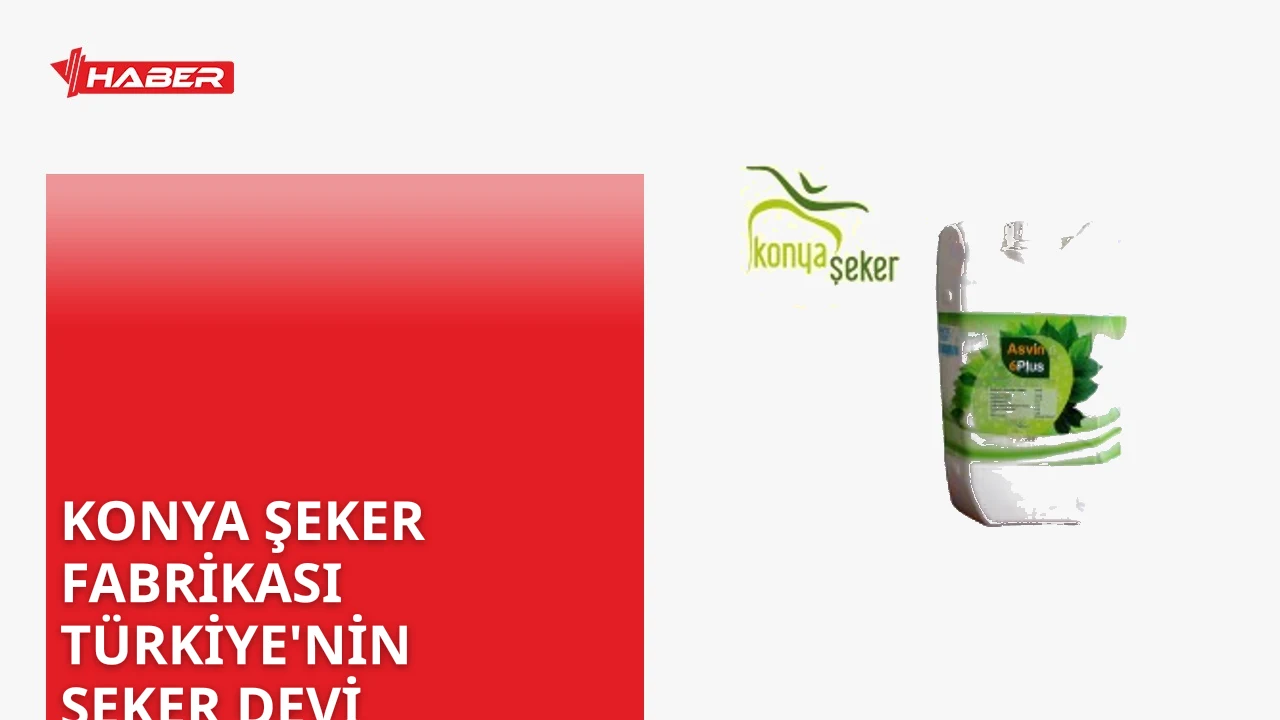 Konya Şeker kimin sahibi İşte detaylar Konya Şeker'in kooperatif yapısı