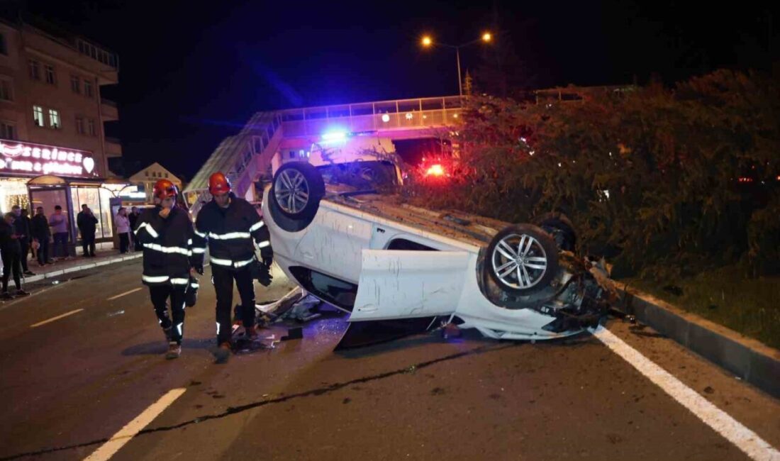 Nevşehir’de bir sürücü, köpeğe çarpmamak için manevra yaparken kontrolünü kaybederek